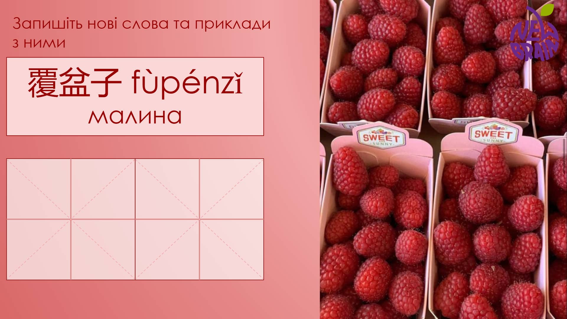 Авторские интерактивные материалы
